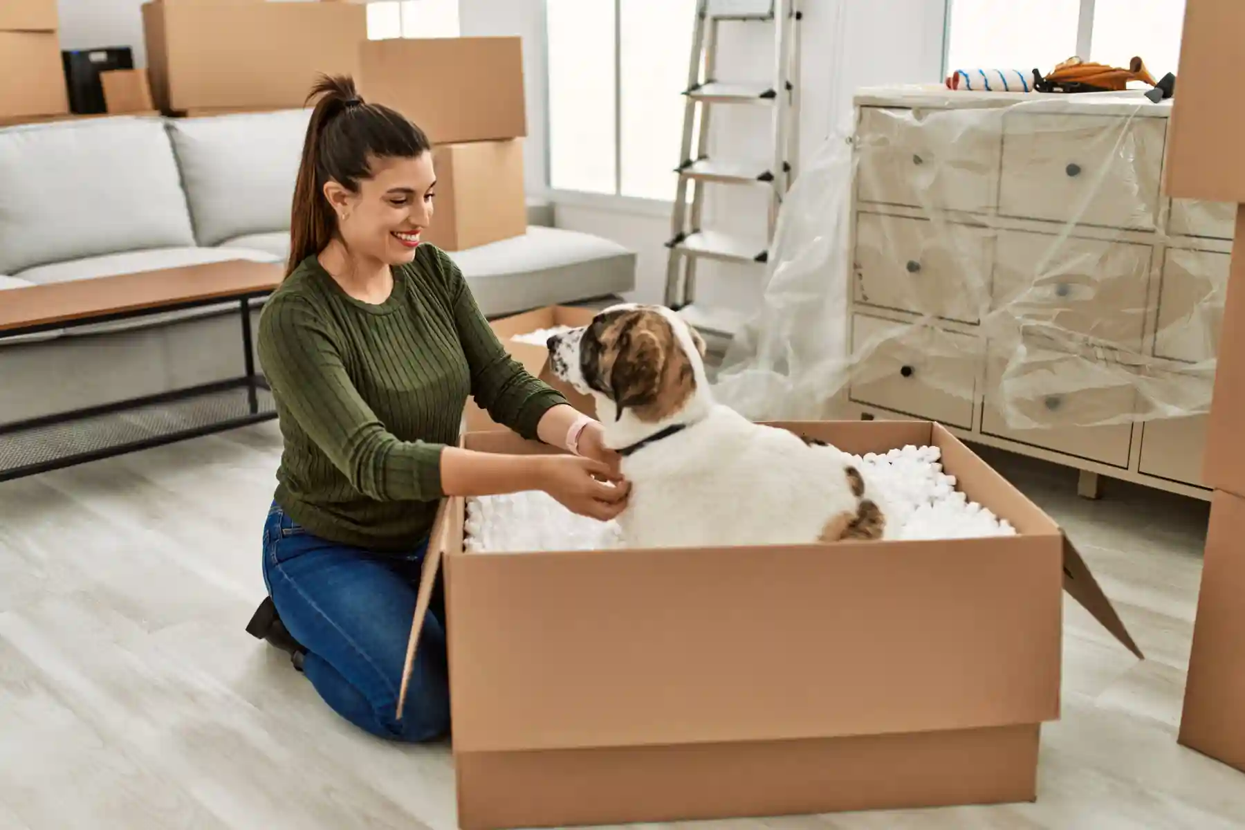 Interstate Removalists Wollongong to Tasmania
