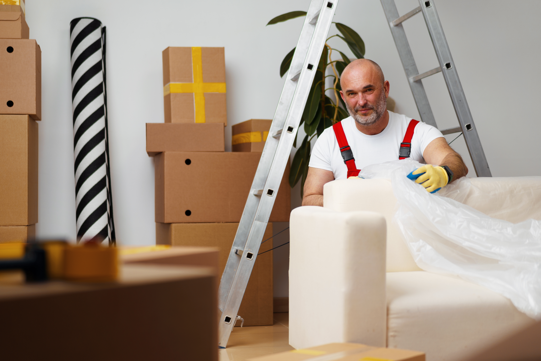 Professional removalists Wollongong to Wagga Wagga providing reliable and efficient moving services for homes and businesses