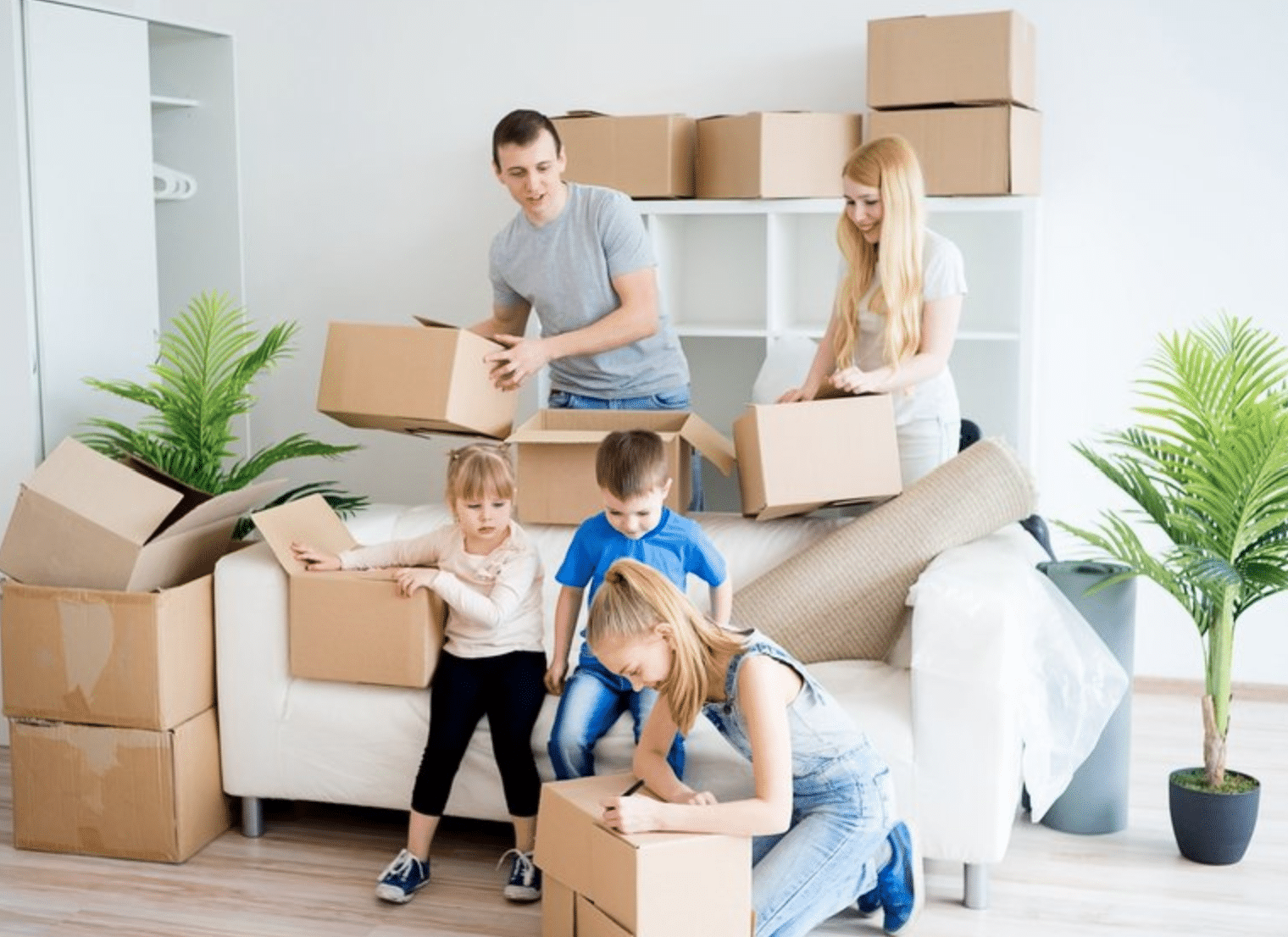 local and interstate removalists Wollongong